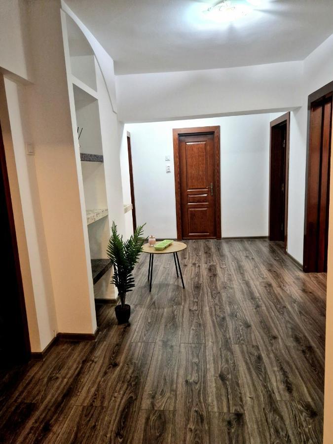 Cozy Appartment In The Center Targoviste Bagian luar foto